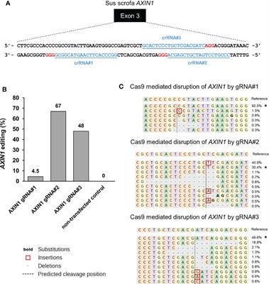 Effect of CRISPR Knockout of AXIN1 or ARID1A on Proliferation and Migration of Porcine Hepatocellular Carcinoma